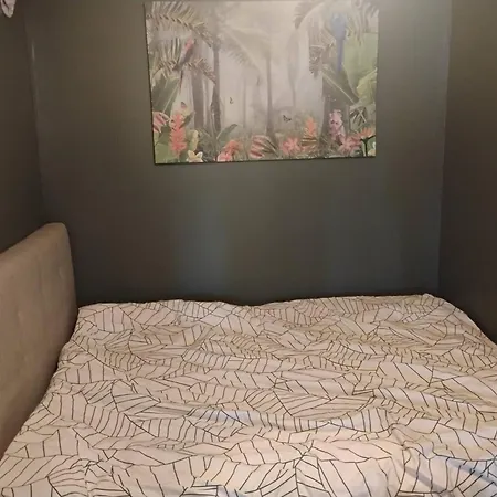 Nicely Decorated House Near Forest And Town